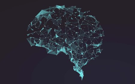 Beýni iň ýokary öndürijilikde haçan işleýär?