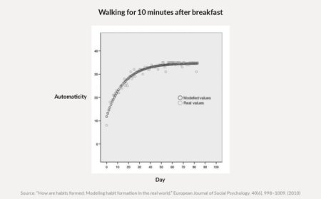 Bir wagtda diňe bir zadyň ussady bolmagyň ylmy esaslary