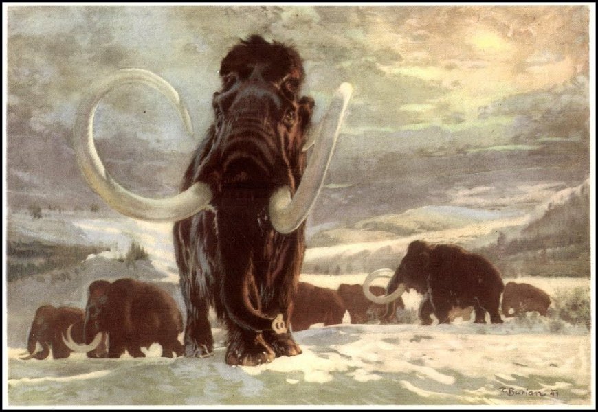 Mamontlary yzyna getirmek howanyň üýtgemeginiň öňüni almaga kömek edip bilermi?