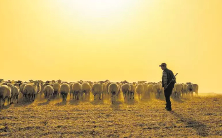 BAZARDA ATYR SATYLÝAN ÝERDE ÇAŞAN DERI EÝLEÝJI HAKYNDA HEKAÝAT