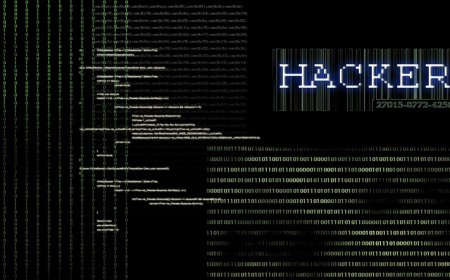 Saýt Hack-leme Usullary we Olara Garşy Goranyş