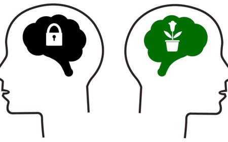 Tebigy Zehinmi ýa-da Zähmet?