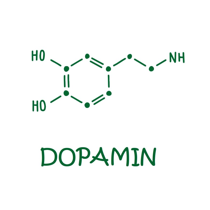 C₈H₁₁NO₂ - Dopamin