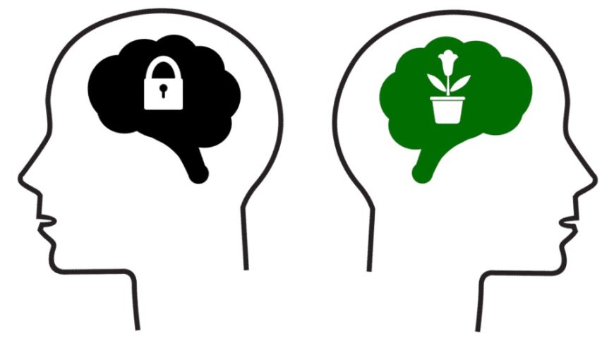 Tebigy Zehinmi ýa-da Zähmet?