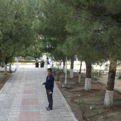 ylhamyaylasy@gmail.com